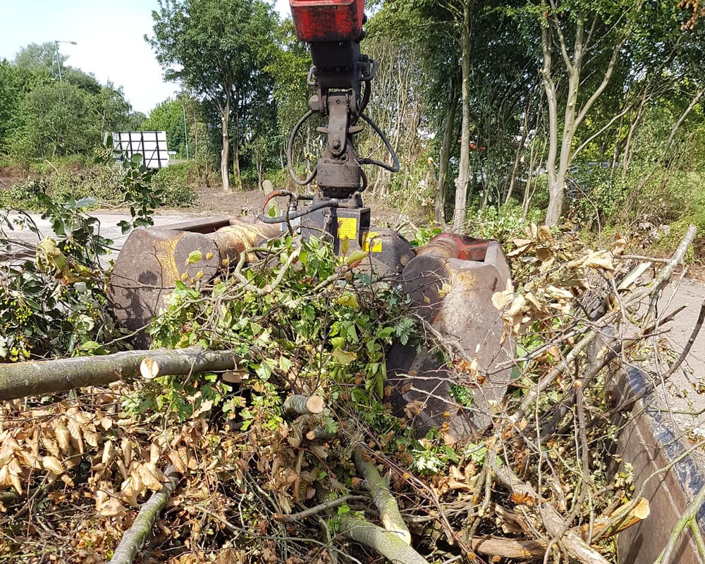 Removal of green waste from a site